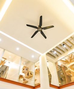 STANDARD ROOM BY THAI PET HOLTELS